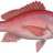 Father_Fishmonger