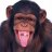 MonkeyArms