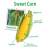cornboy