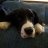 Dave_E