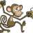 drunkmonkey