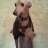 ThePetZoo