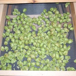 Oast