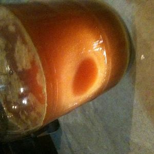 dryhoppedhopslamclone