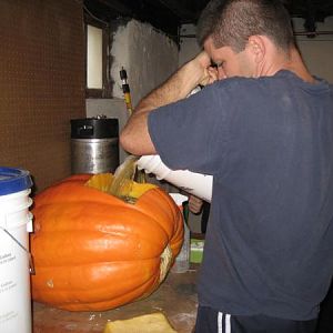 BeerinaPumpkin2010edition
