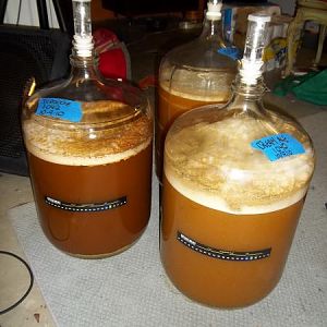 3fermenting