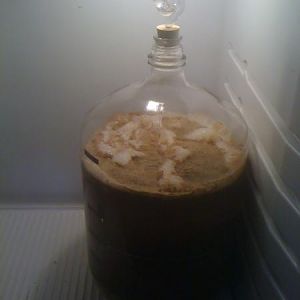 Judgesbrewingalbum
