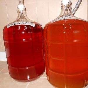 Mead