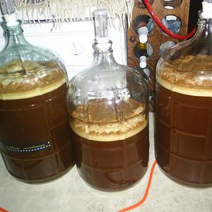 Beer