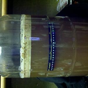 1stBrewBwrlinerWeisse