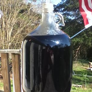 ElderberryWine