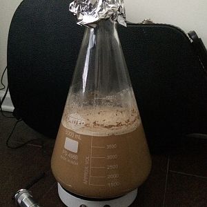 The Screwy Brewer