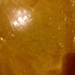 FermentPics