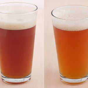 BeersPicsetc