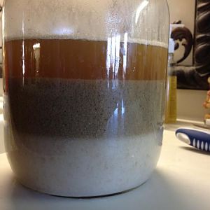 WashingYeast
