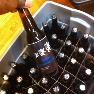 TheRochefort10experiment