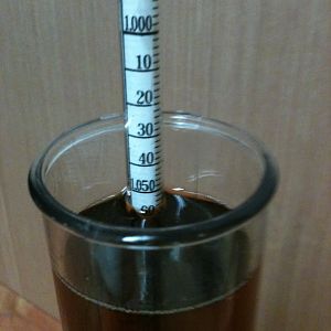 3 Dog Brew's Photos