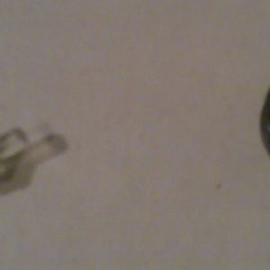 Torchiest's Photos
