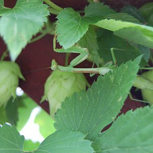 Mike M's Photos