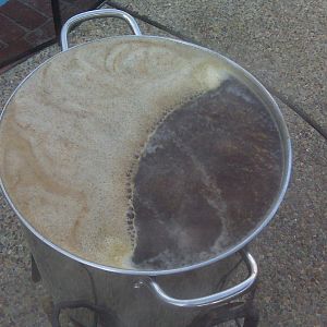 BrewBrain's Photos