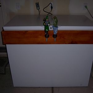 PsicloneRN's Photos