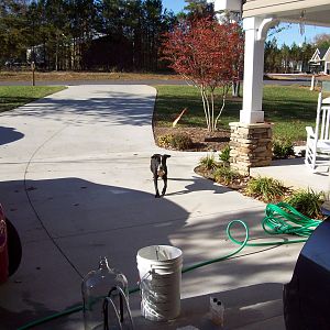 kjones's Photos