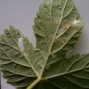 hardrain's Photos