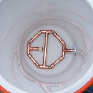 Newfermenter1's Photos