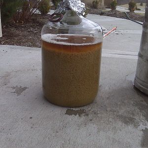Plug1's Photos