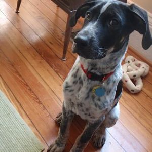 bertmurphy's Photos