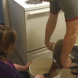 the_kent's Photos