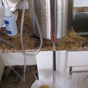 CourtHouseBrewing's Photos