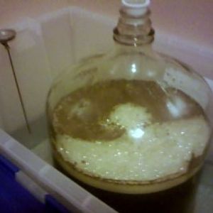 Fermentation