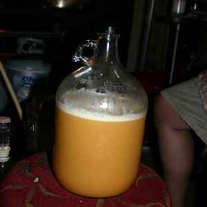 Brew Rig - Brew Session