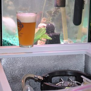 Kevlars Brew pics