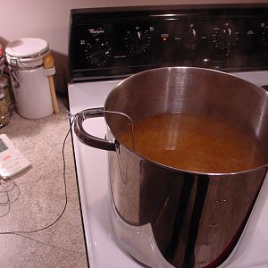 Belgium Ale - Extract Kit 12062009