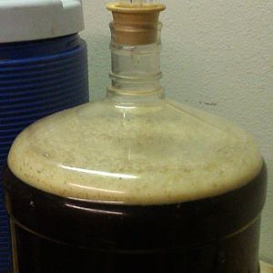 russian river brewing  Blind pig