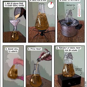 Yeast