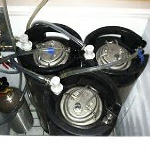 Thumbless Bastard Brewing