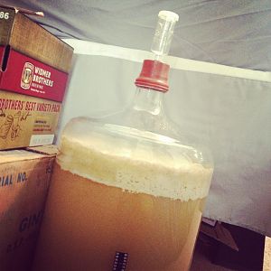 Fermentations