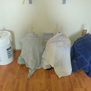 Fermenting