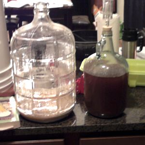 Bottling and transfering