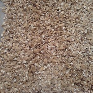 New Grain Mill