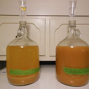Cider Nov. 12 & 13