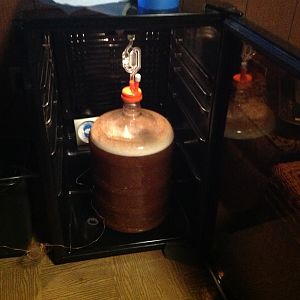 Active Fermentation