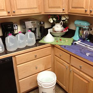 My Brew Photo's