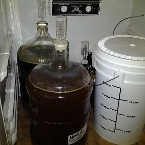 Fermentation Fridge