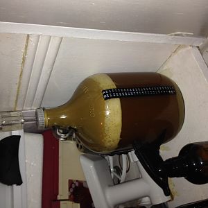 Fermentations