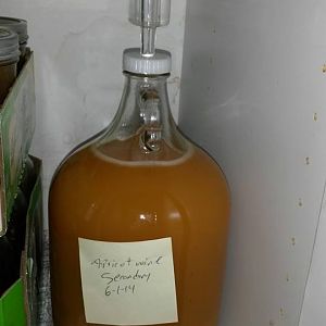 Apricot Wine