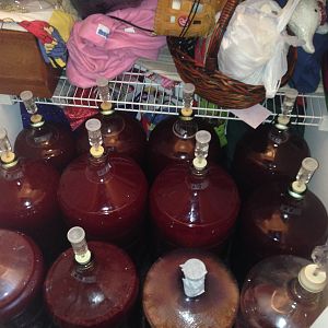 Home grown Plum wine